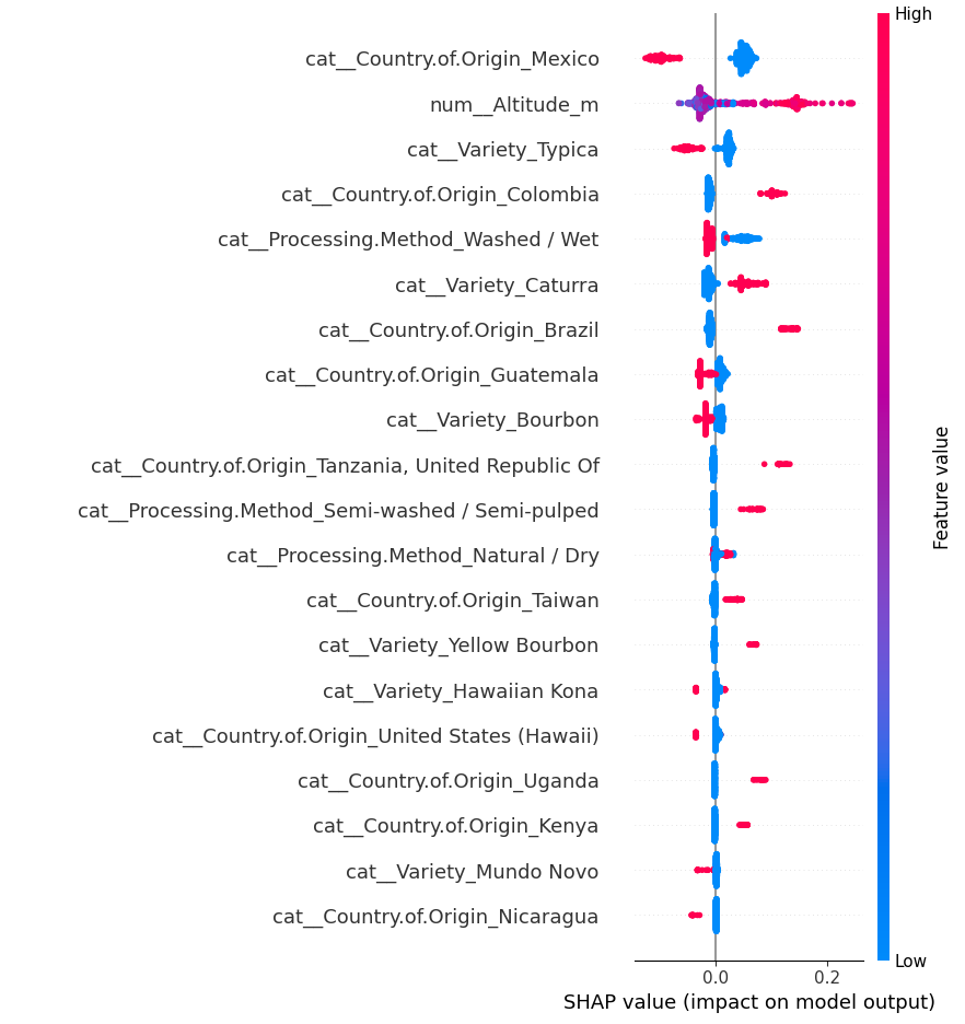Classification model shap plot